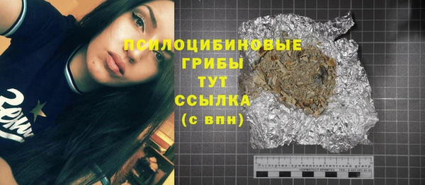 мет Осинники