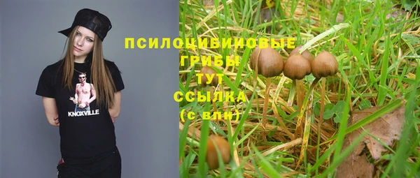 кристаллы Няндома