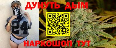 шишки Донской