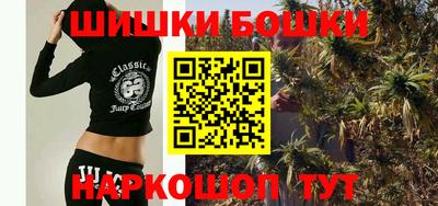 бошки Бийск