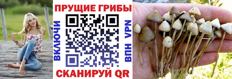 Псилоцибиновые грибы мицелий  Ливны 