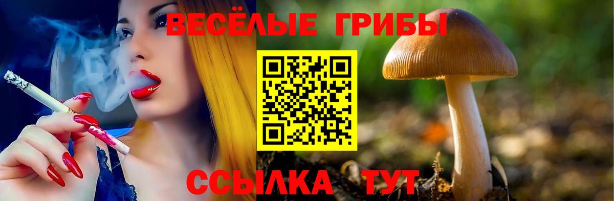 Псилоцибиновые грибы Cubensis Ливны